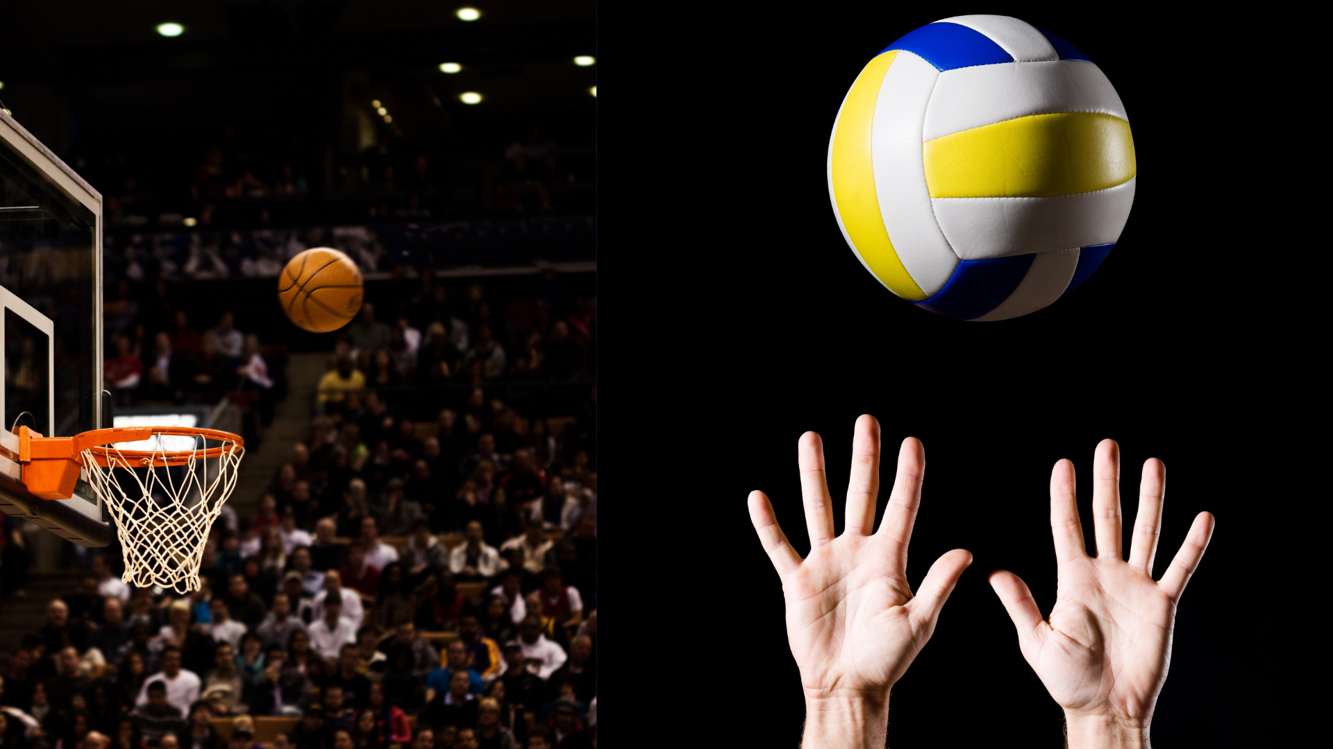 Basketball- und Volleyballturnier